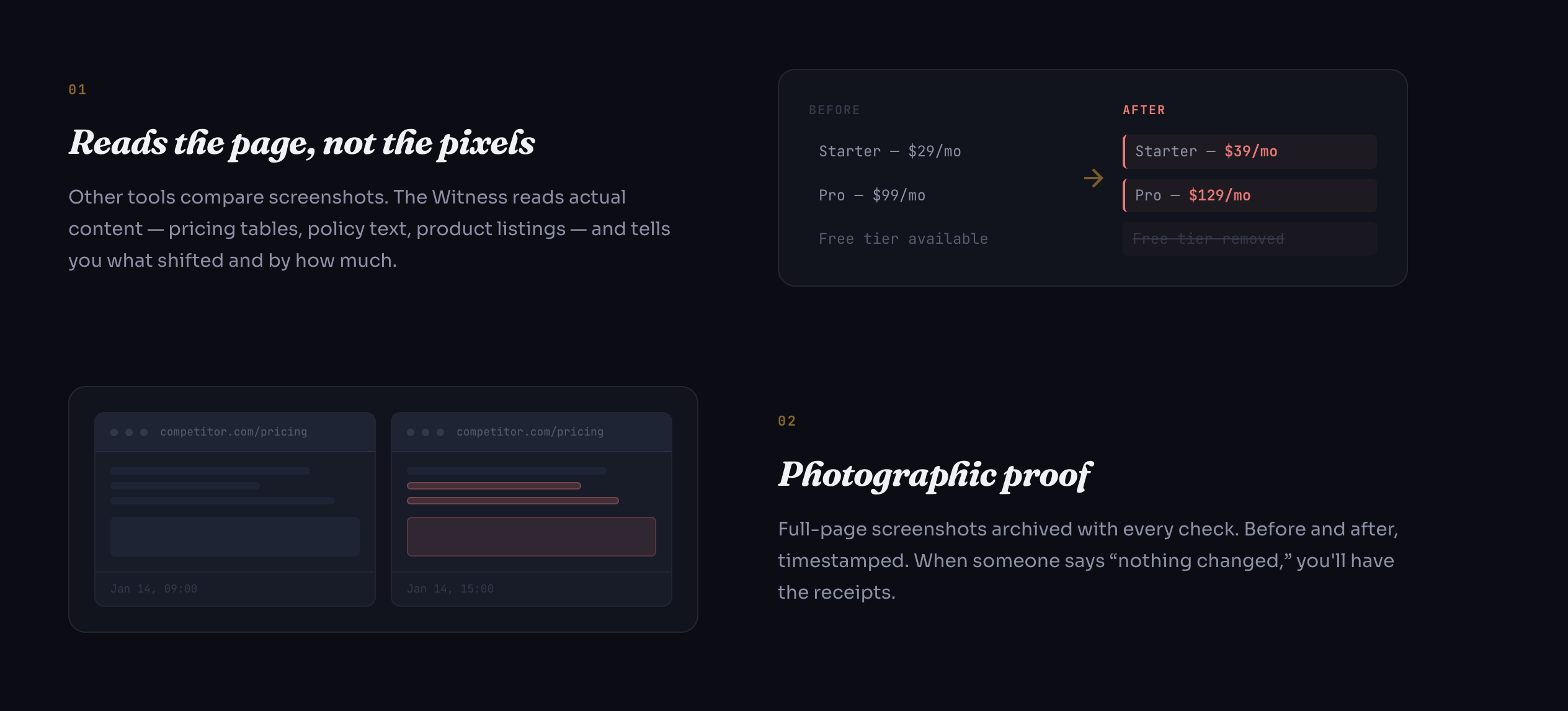 The Witness gallery image