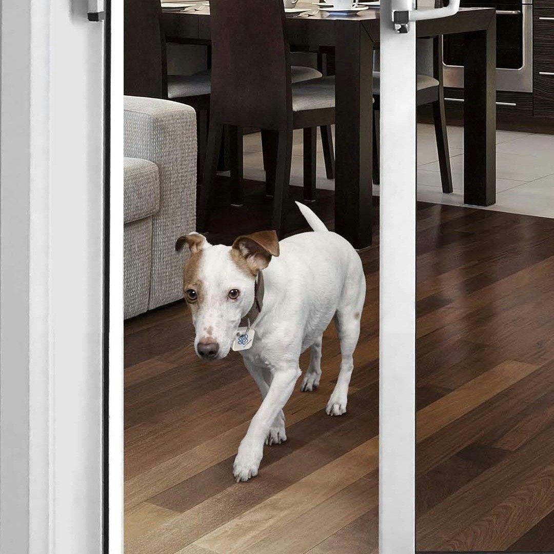 Autoslide iLock Smart Tag Pet Door Kit gallery image