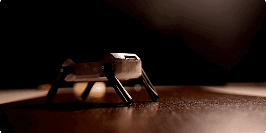 KT2 Kungfu Turtle Robot