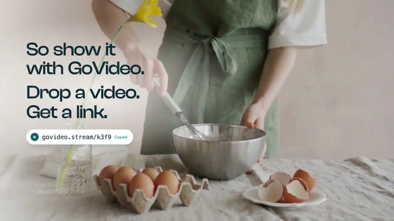 GoVideo gallery image