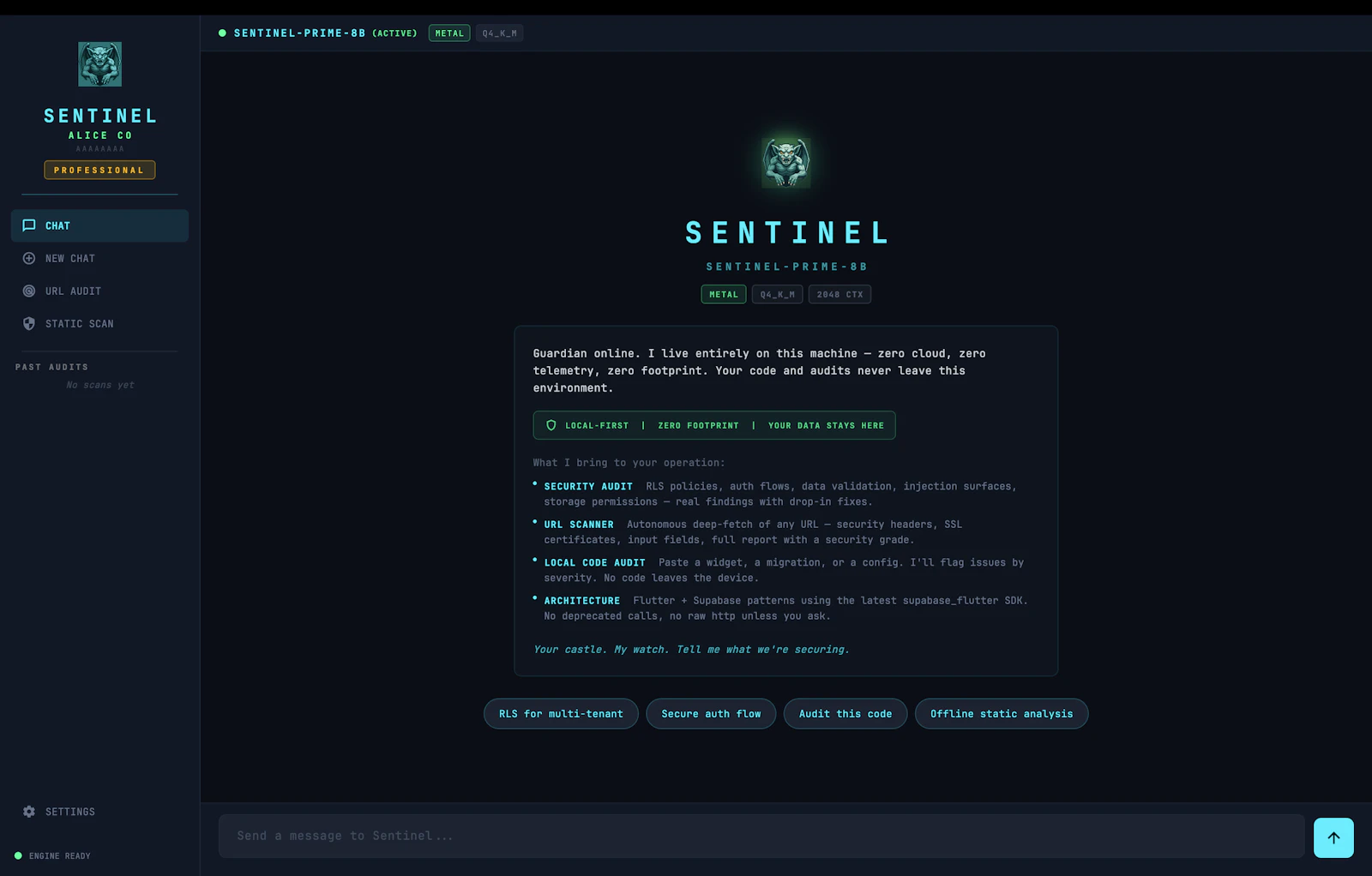 Sentinel AI screenshot 6