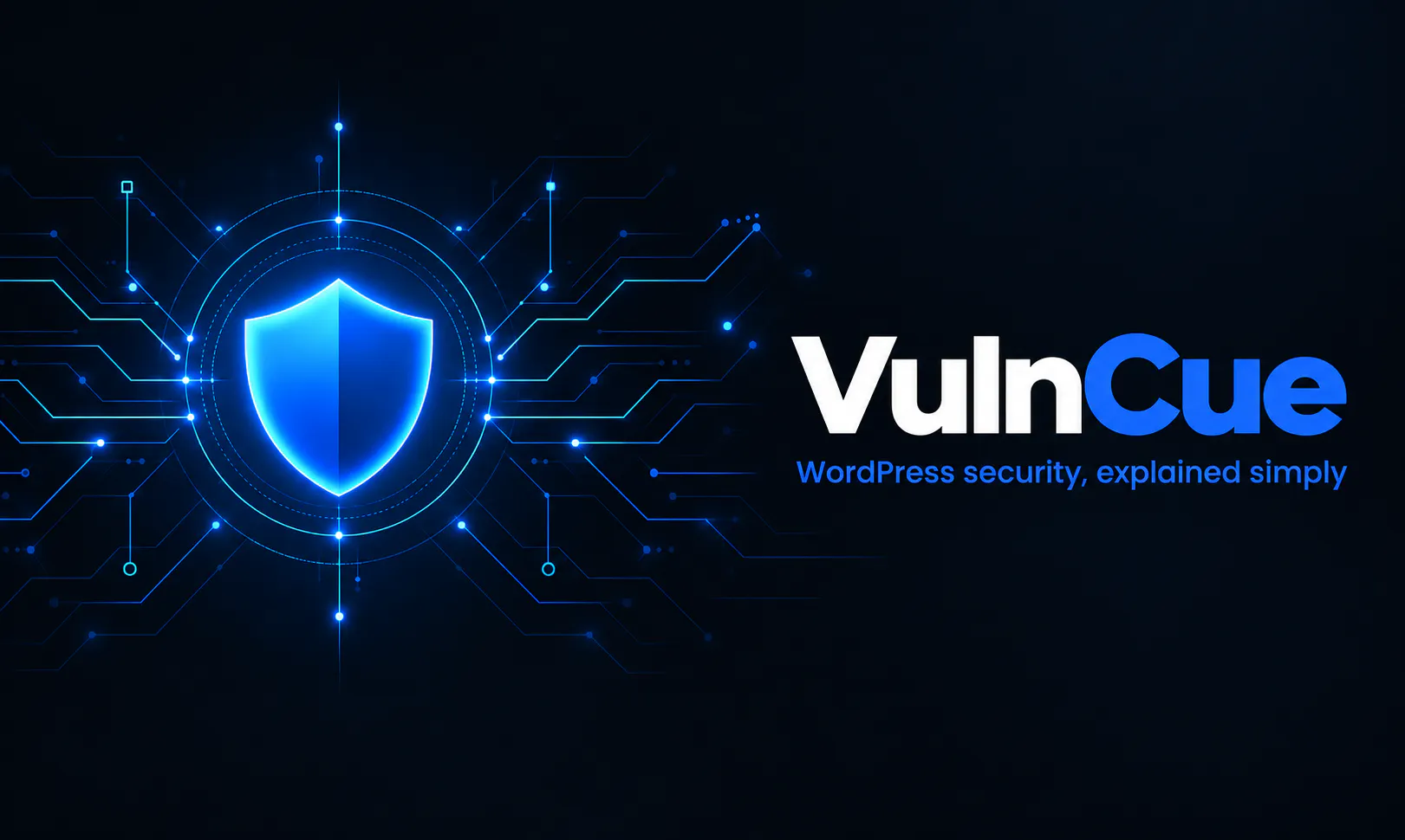 VulnCue gallery image