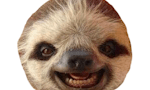Sloths image