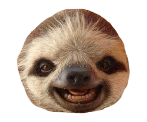 Sloths media 1