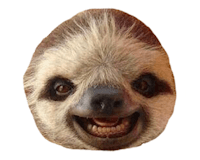 Sloths media 1