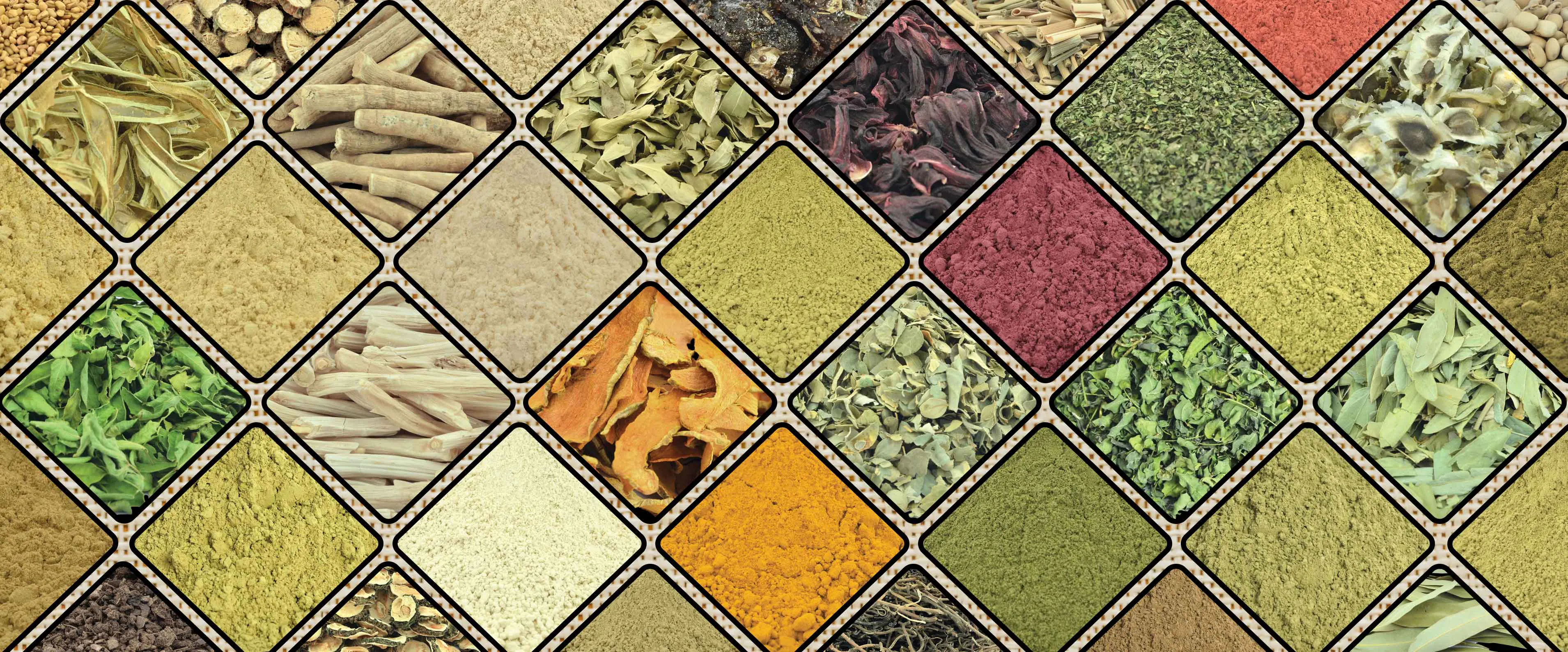 Best Certified Organic Herbs & Botanical