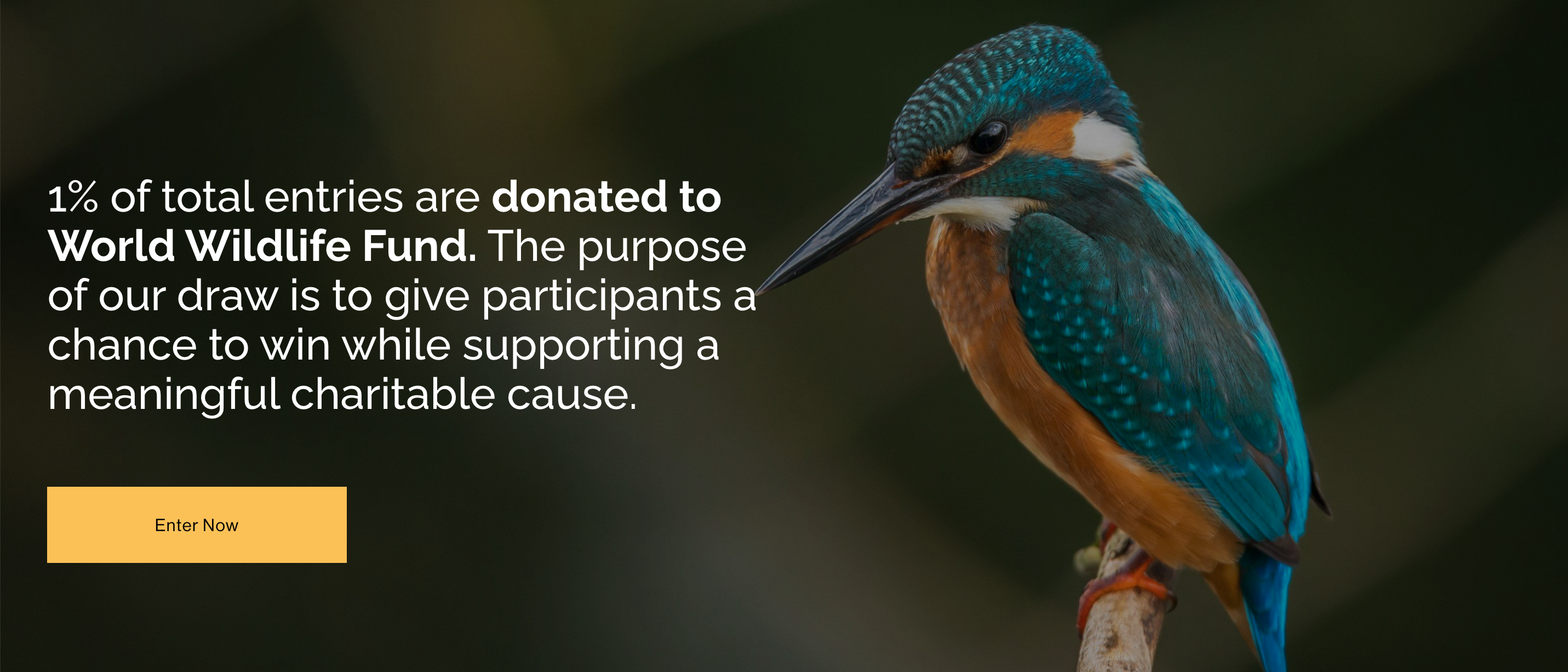 FantasyDraw gallery image