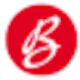 Bizzoppo Interiors