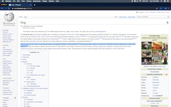 ClippyApp gallery image
