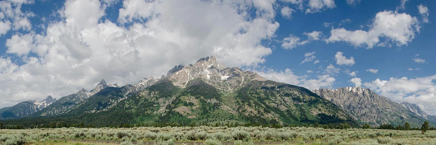 Steve Schoeffel cover