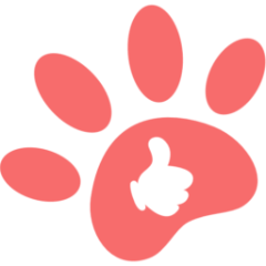 Pawfect anlık görüntüleri