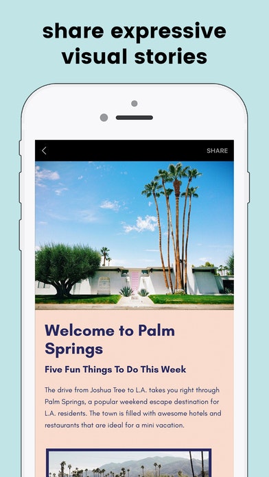 Article by Steller gallery image