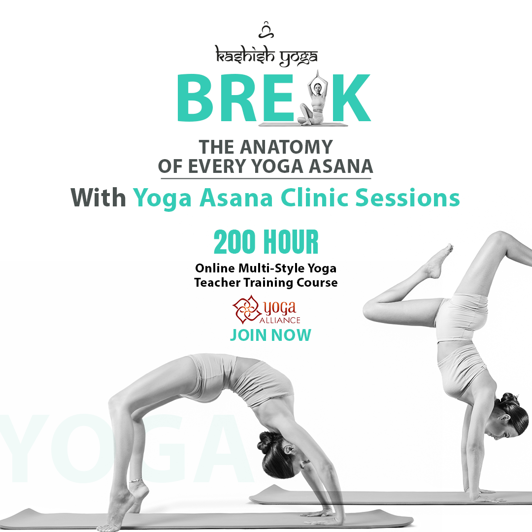 200 hour yoga teacher training course gallery image