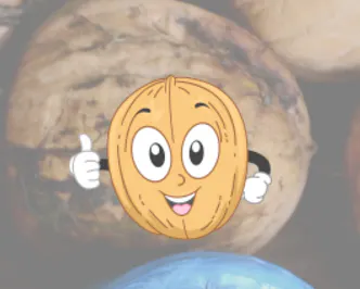 Walnut AI