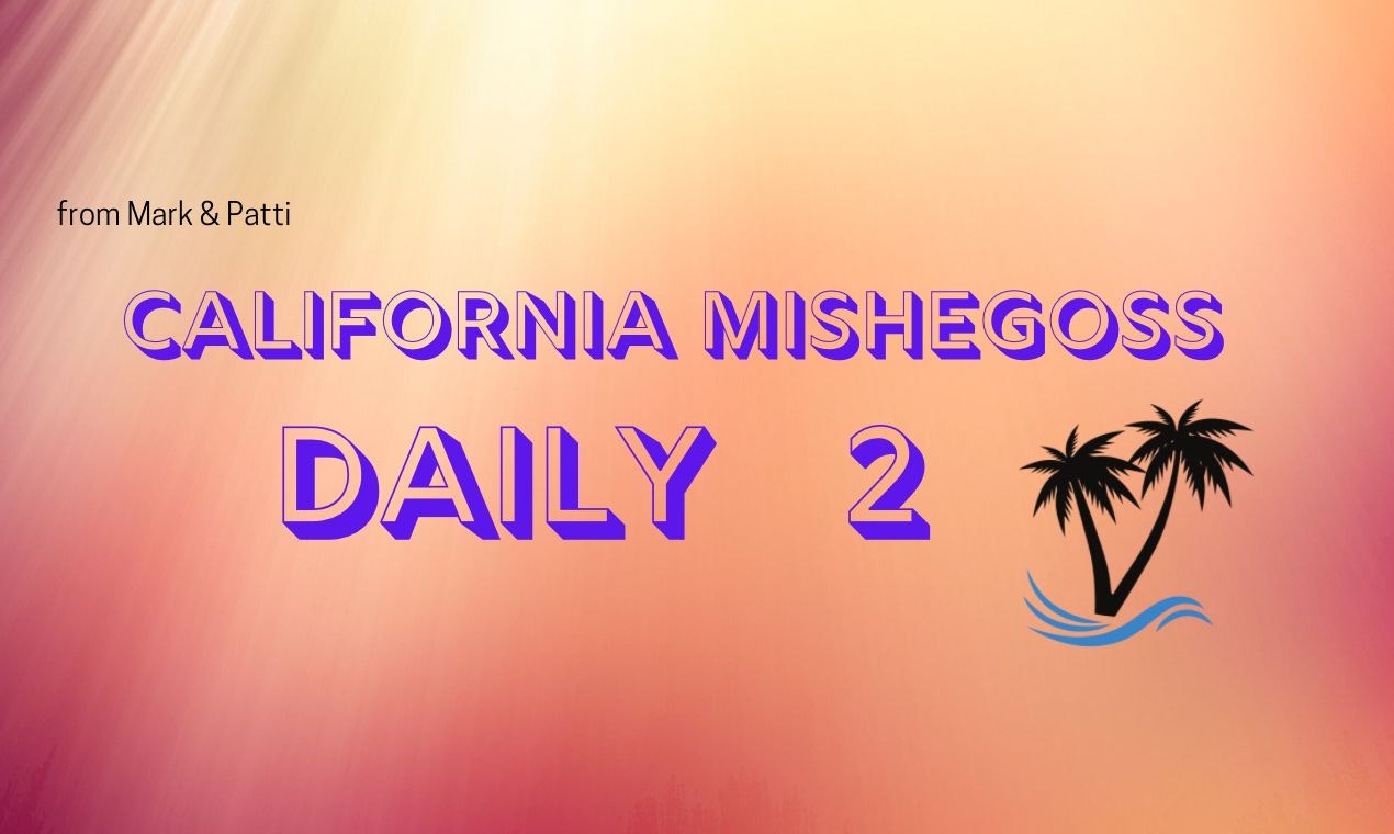 California Mishegoss Daily 2 gallery image