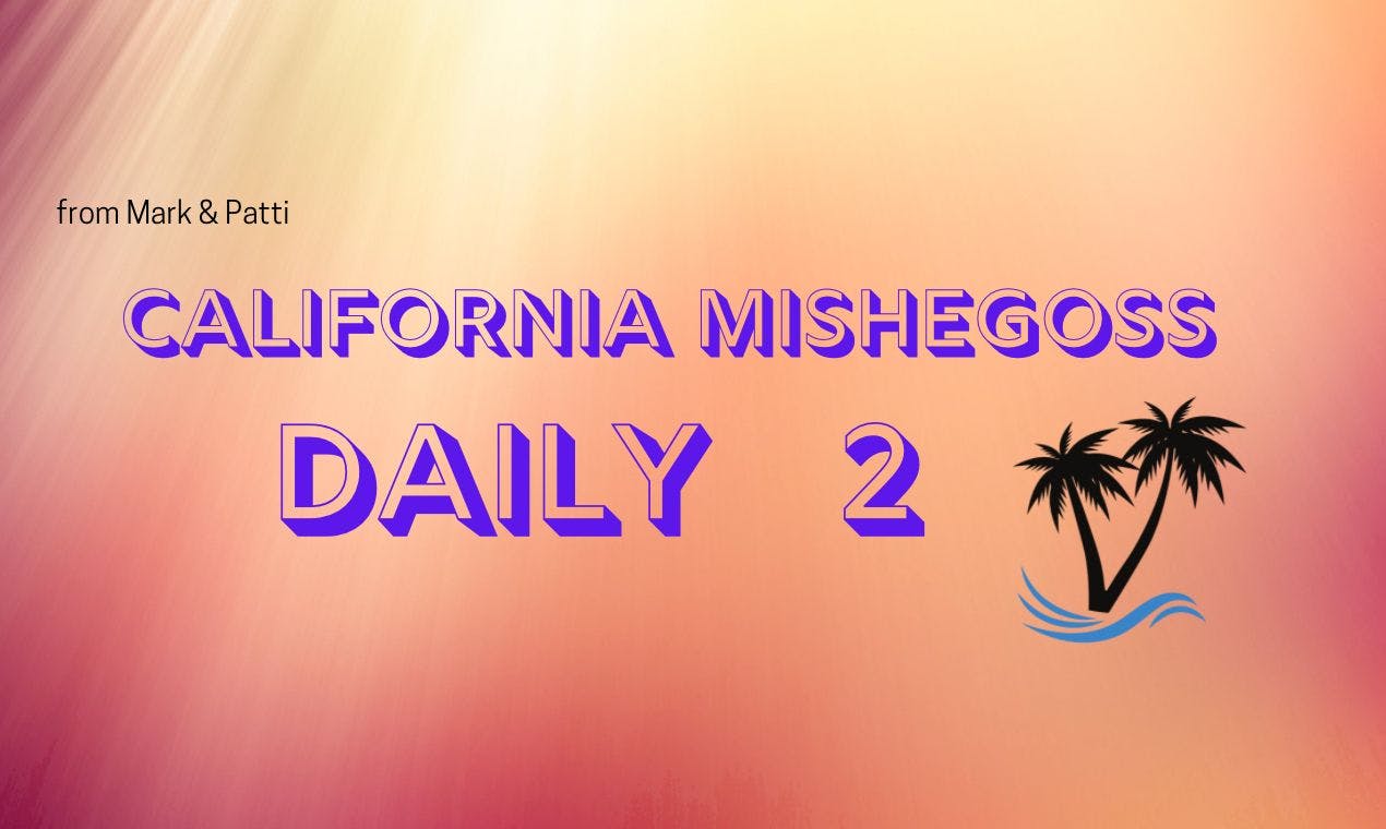 California Mishegoss Daily 2 media 1