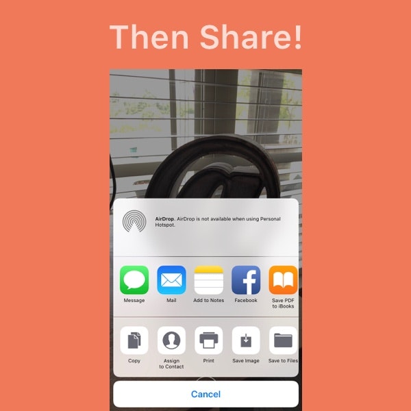 Flache 1.3 gallery image