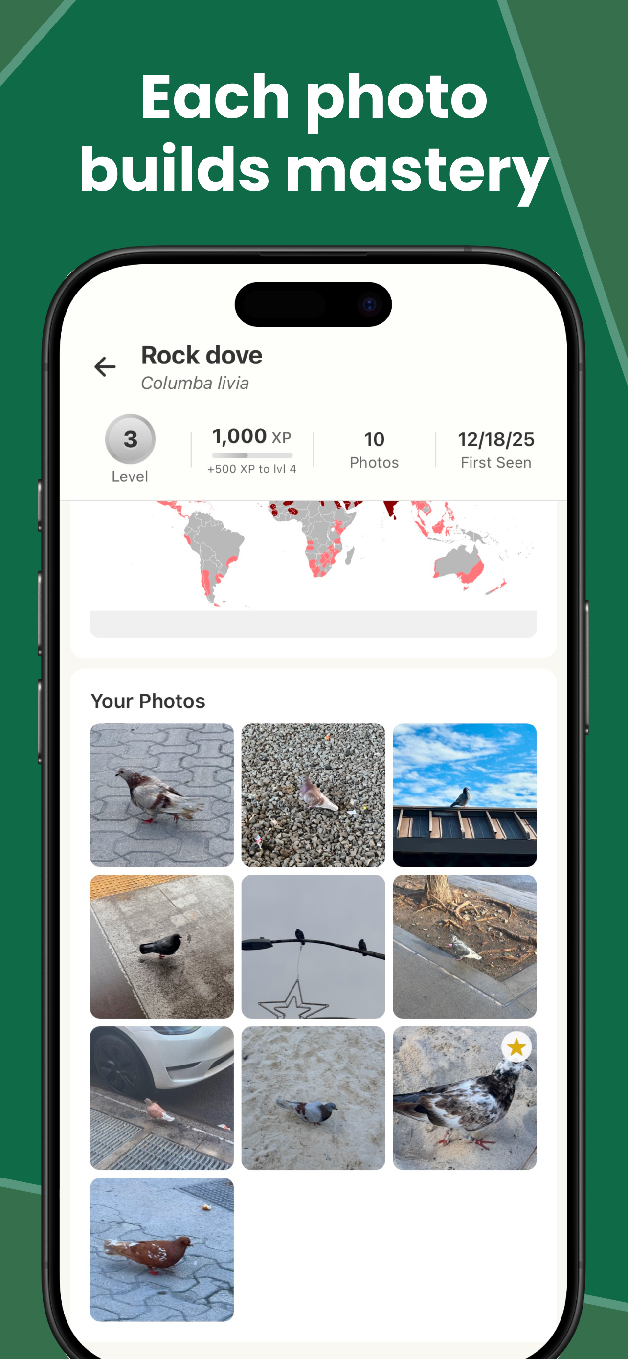 BirdDex gallery image