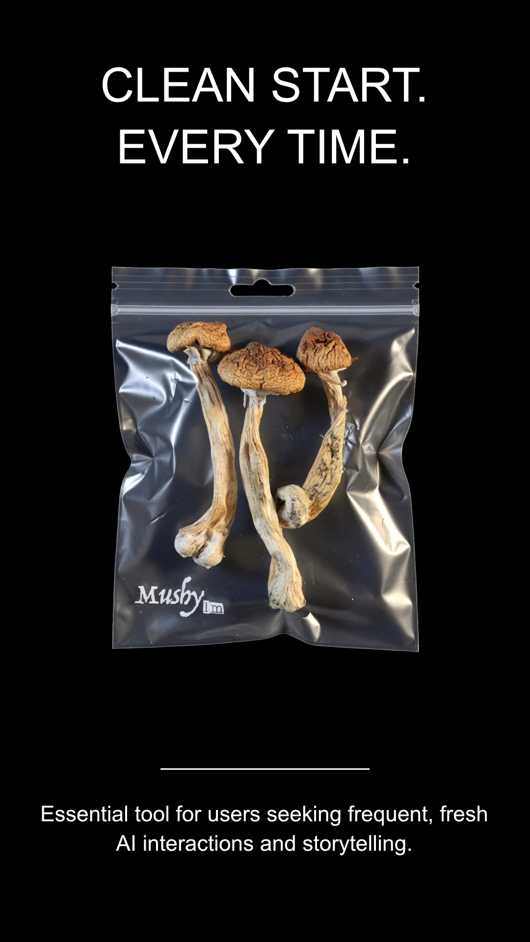 MushyLM gallery image