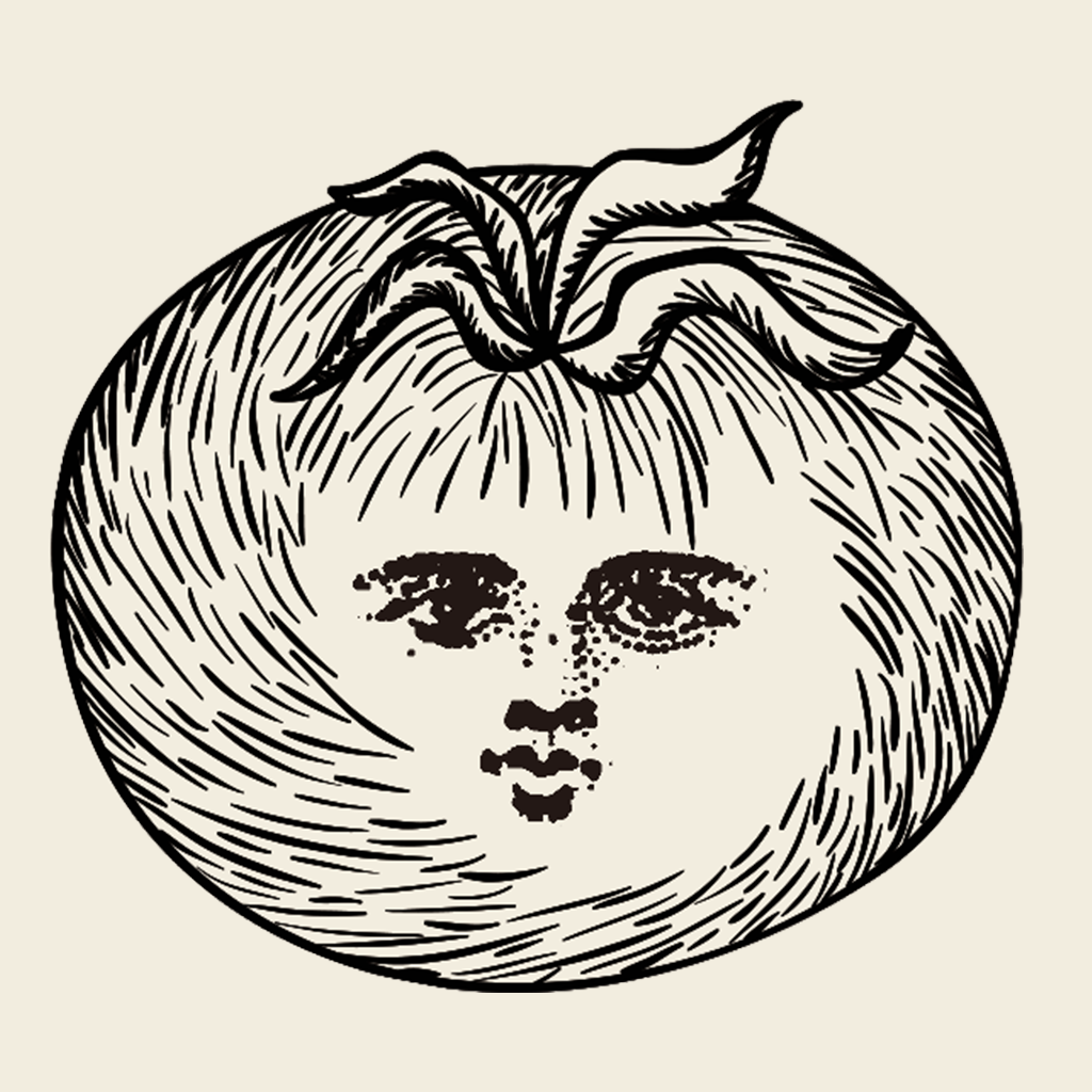 Focus Tomato - Let's focus now