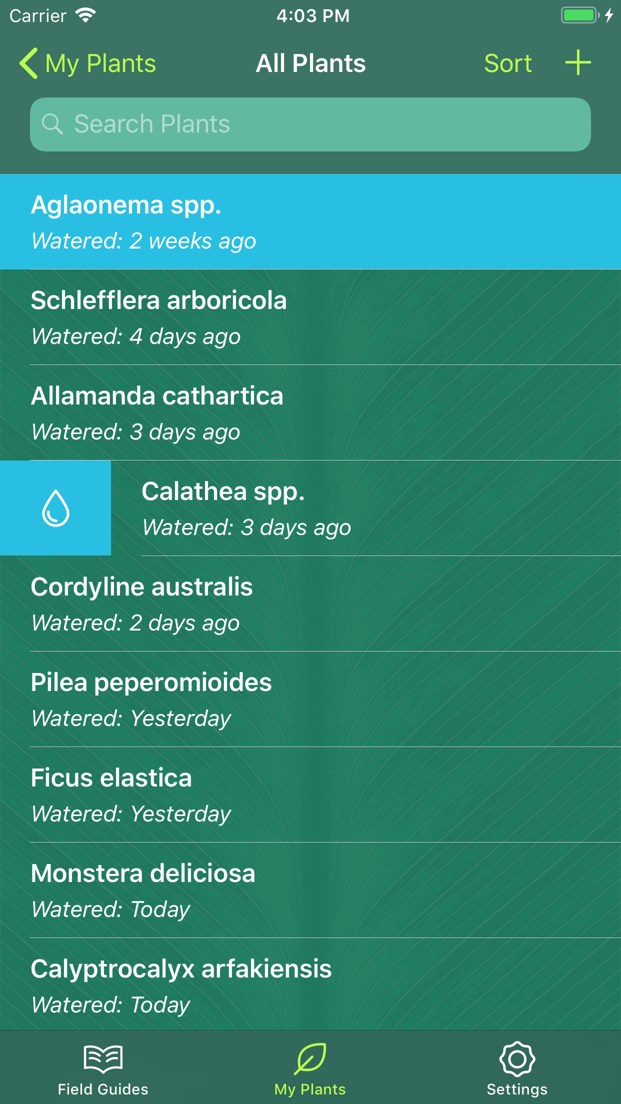 Sprouted gallery image