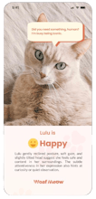 Mood Snap, AI That Reads Your Pet’s Mood gallery image