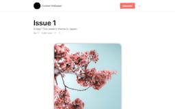 Curated Wallpaper media 2