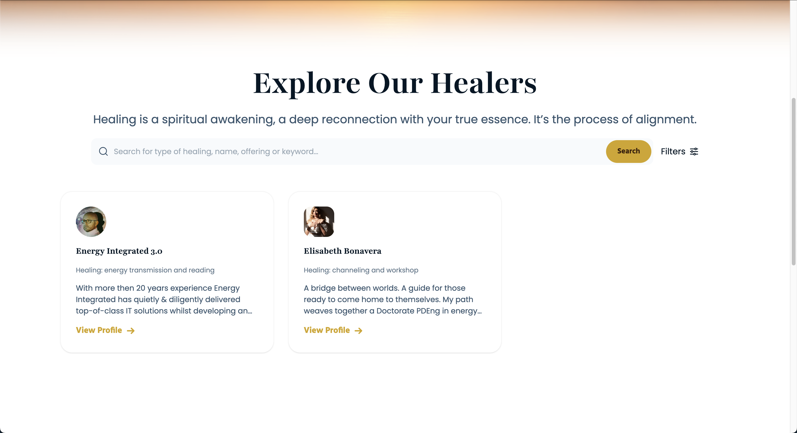 Rising Collectively - Main product screenshot demonstrating key features and user interface