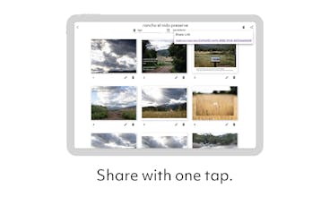 Odyssey gallery image