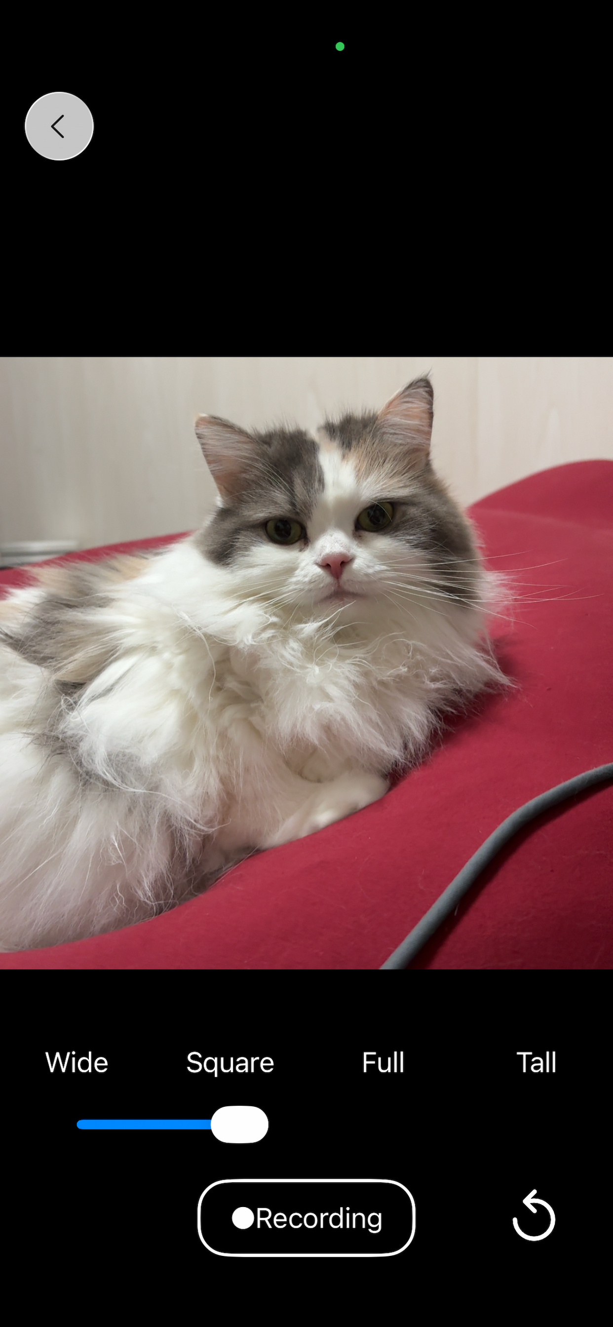 MemoriaR - Screenshot 4 showing product features and functionality