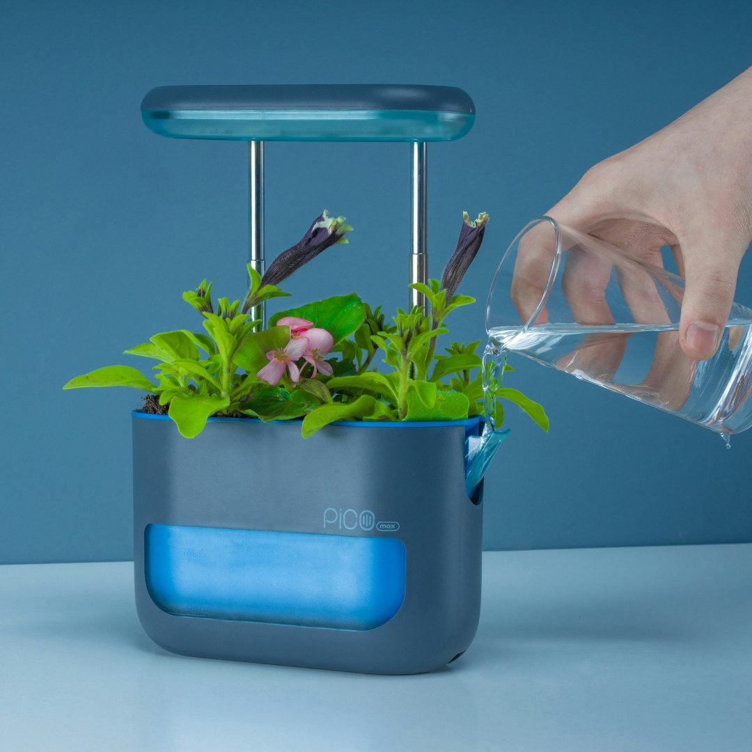 Pico Max gallery image