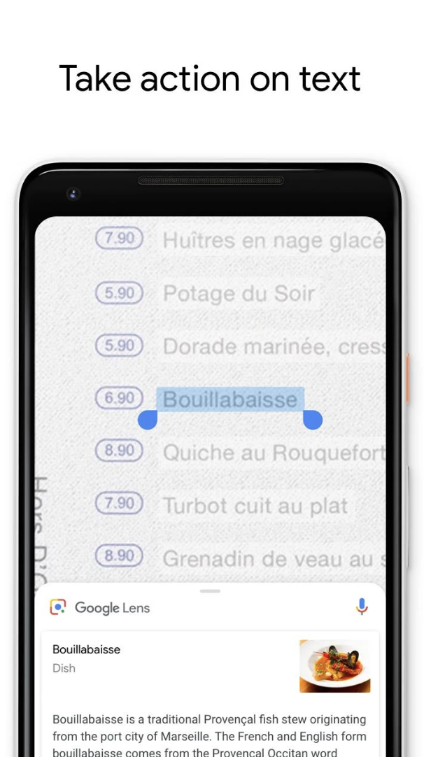 Google Lens Image