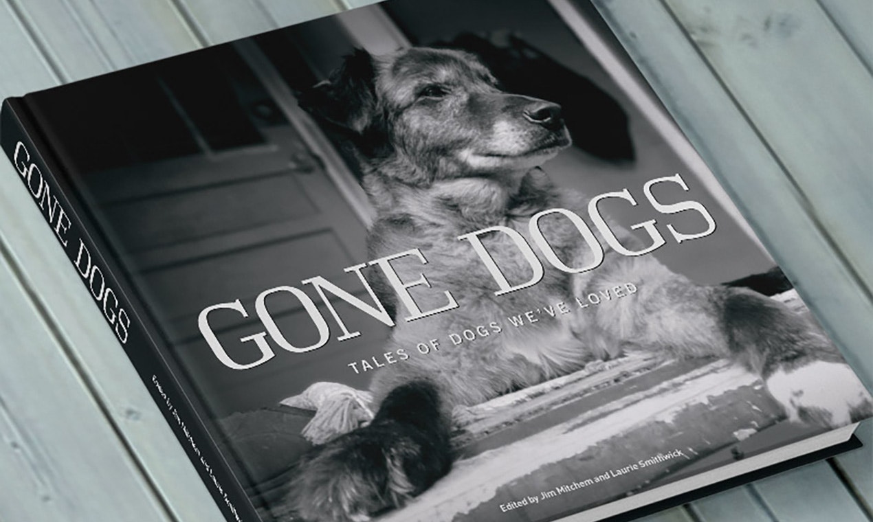 Gone Dogs gallery image