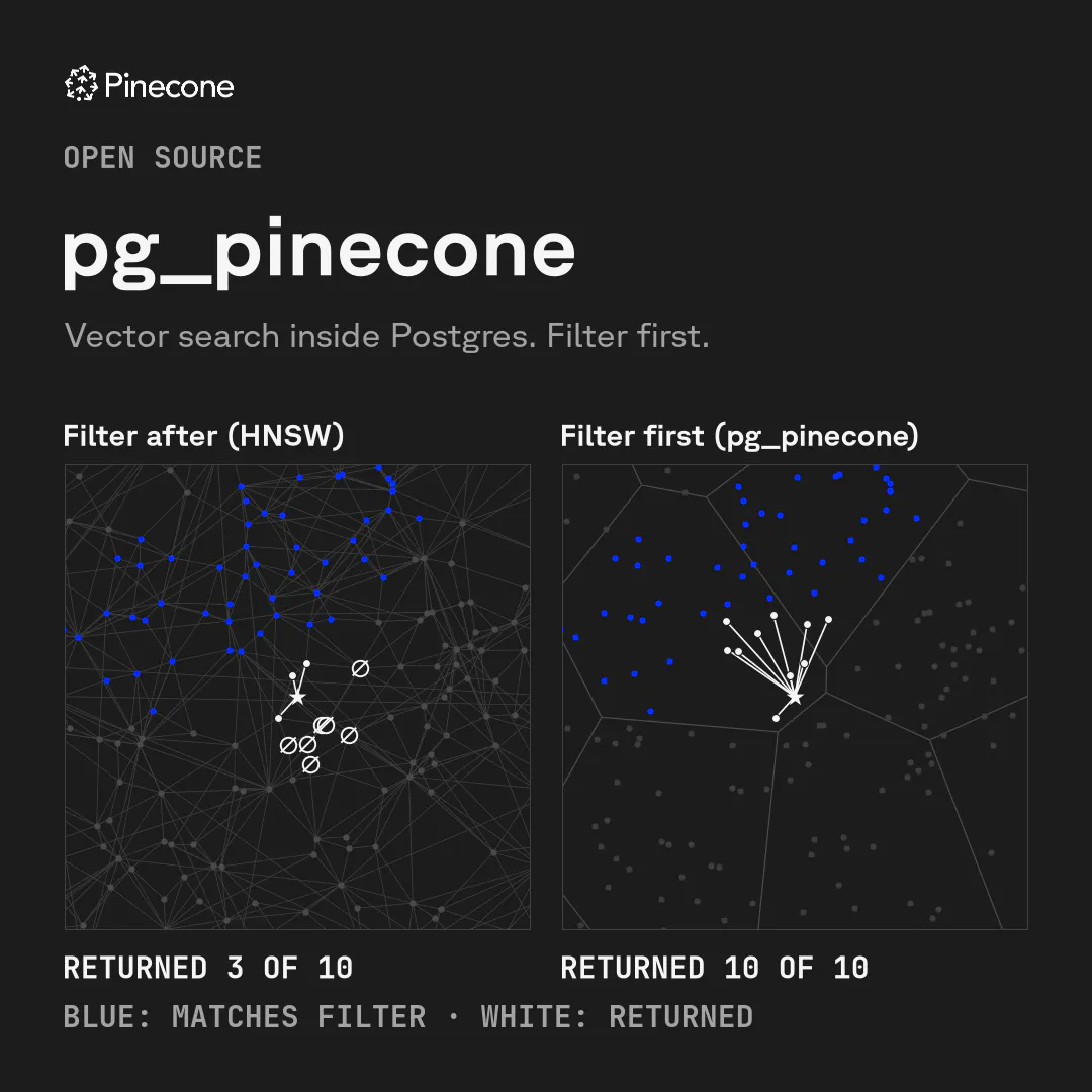 pg_pinecone gallery image