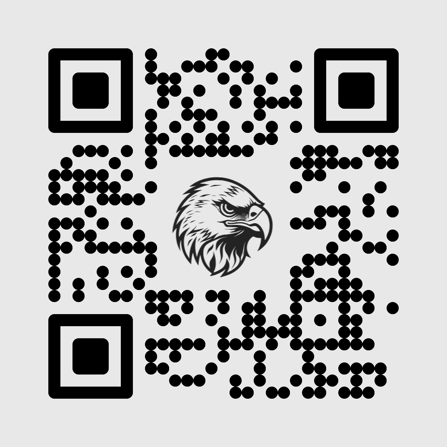 EagleBirth QR API - Main product screenshot demonstrating key features and user interface
