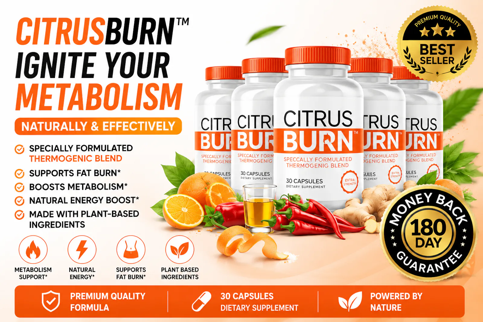 CitrusBurn screenshot 2