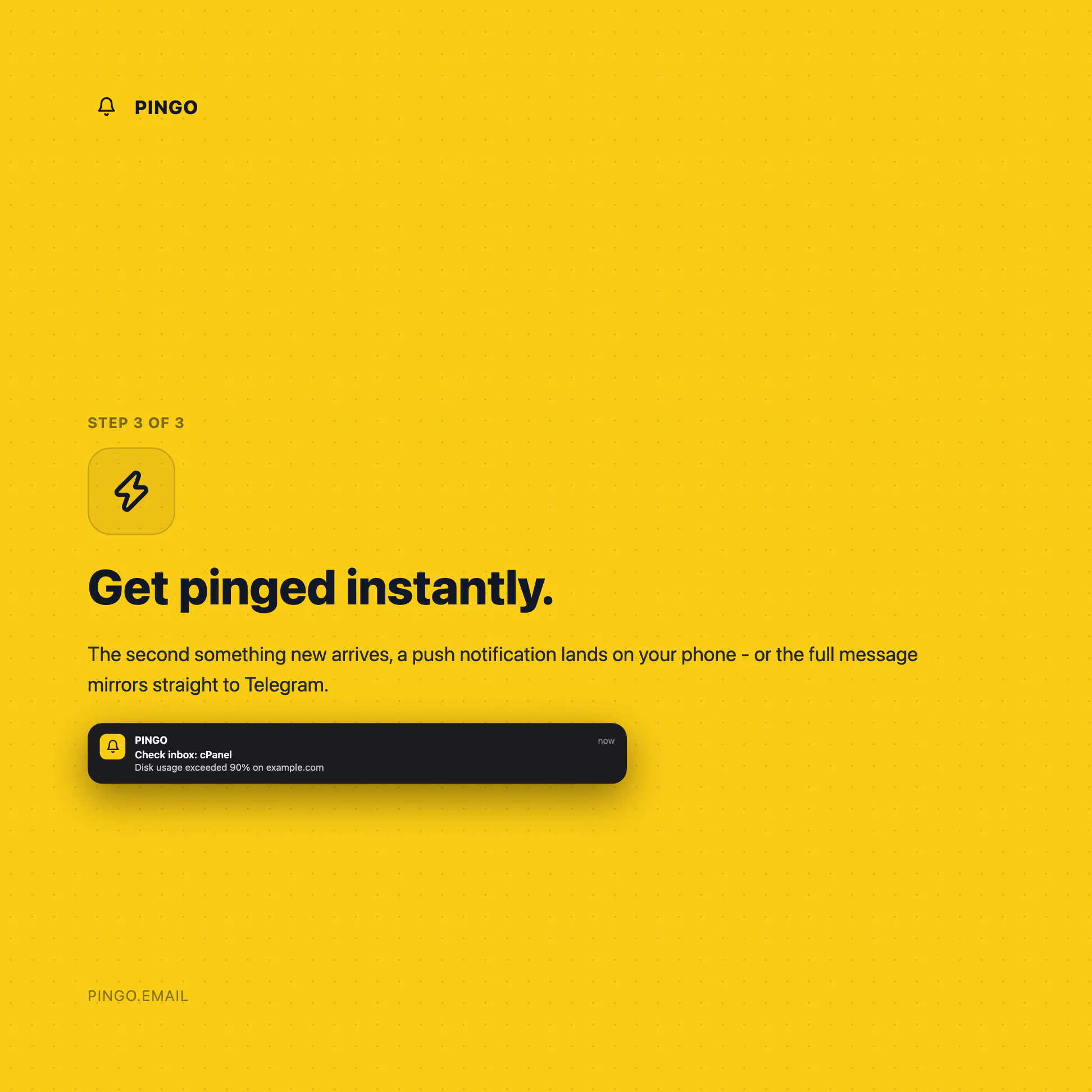 PINGO gallery image