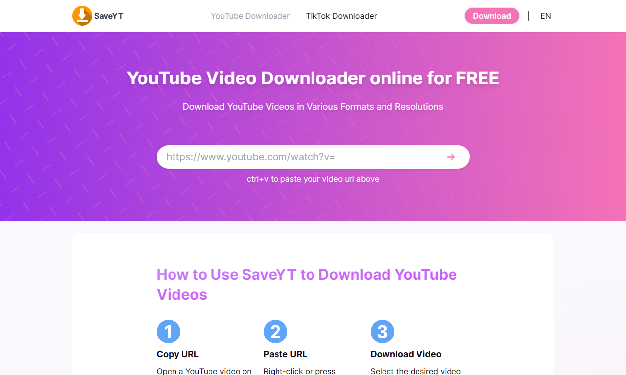Saveyt - Free Online Video Downloader media 2