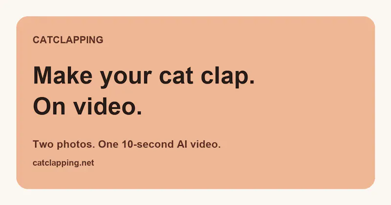 Cat Clapping screenshot 1