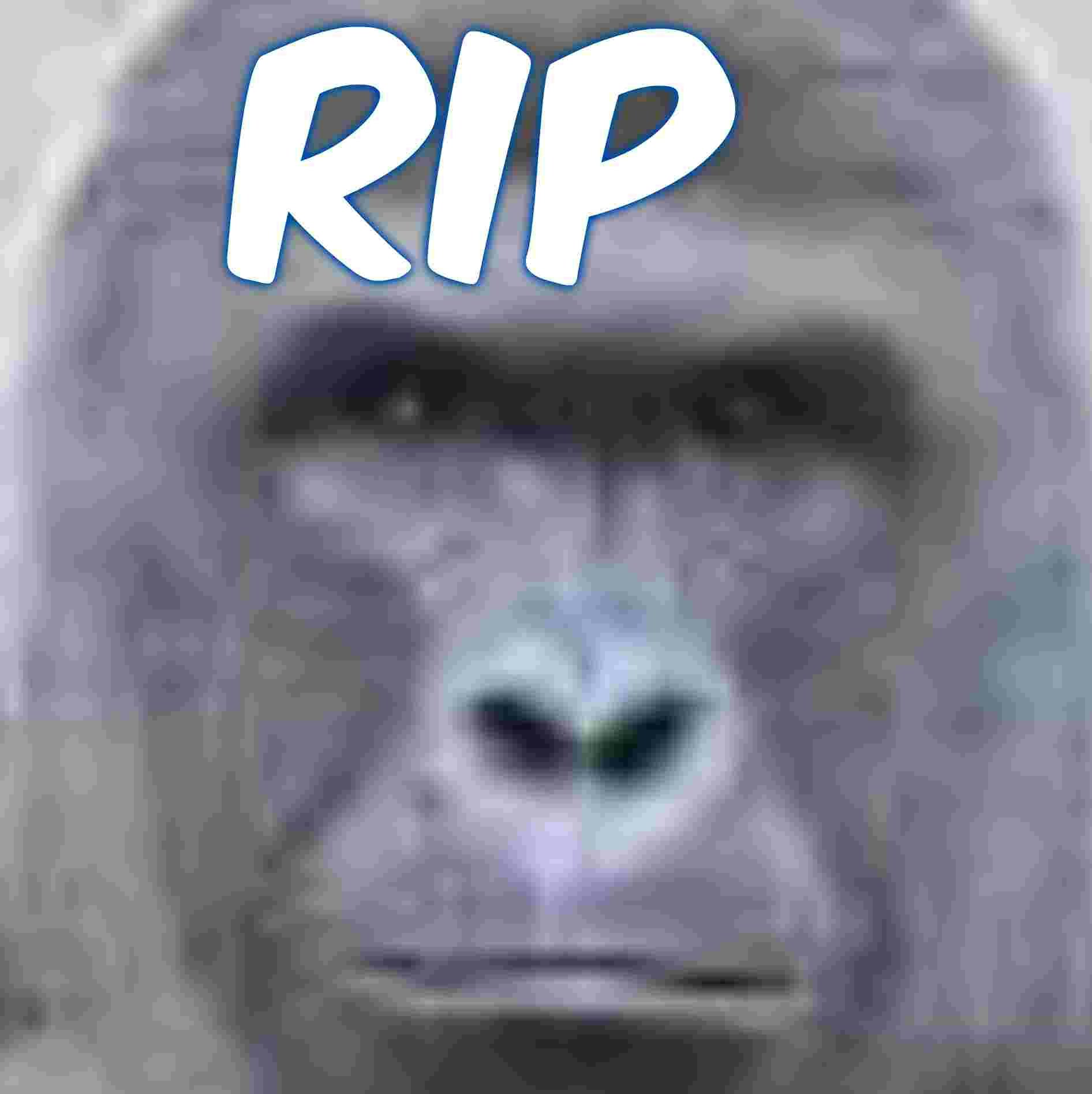 Harambe Slack Emoji gallery image