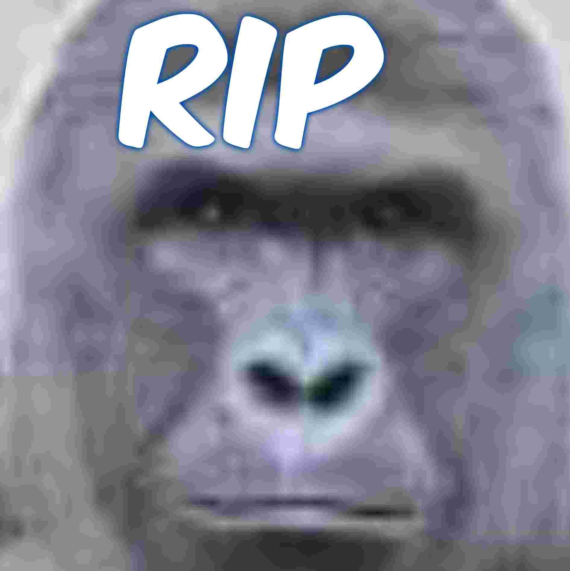 Harambe Slack Emoji media 1