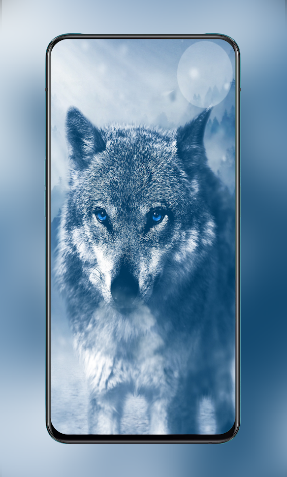 Download Over 100K HD Animal Wallpapers gallery image