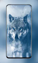 Download Over 100K HD Animal Wallpapers gallery image