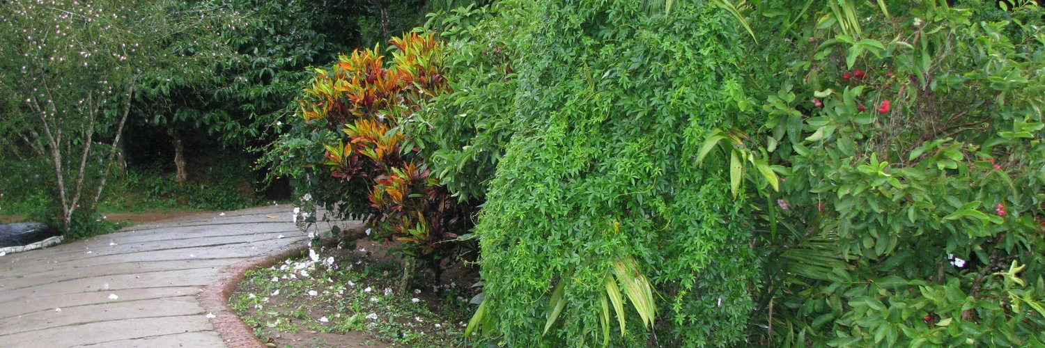 Pradeep Muruganandam cover