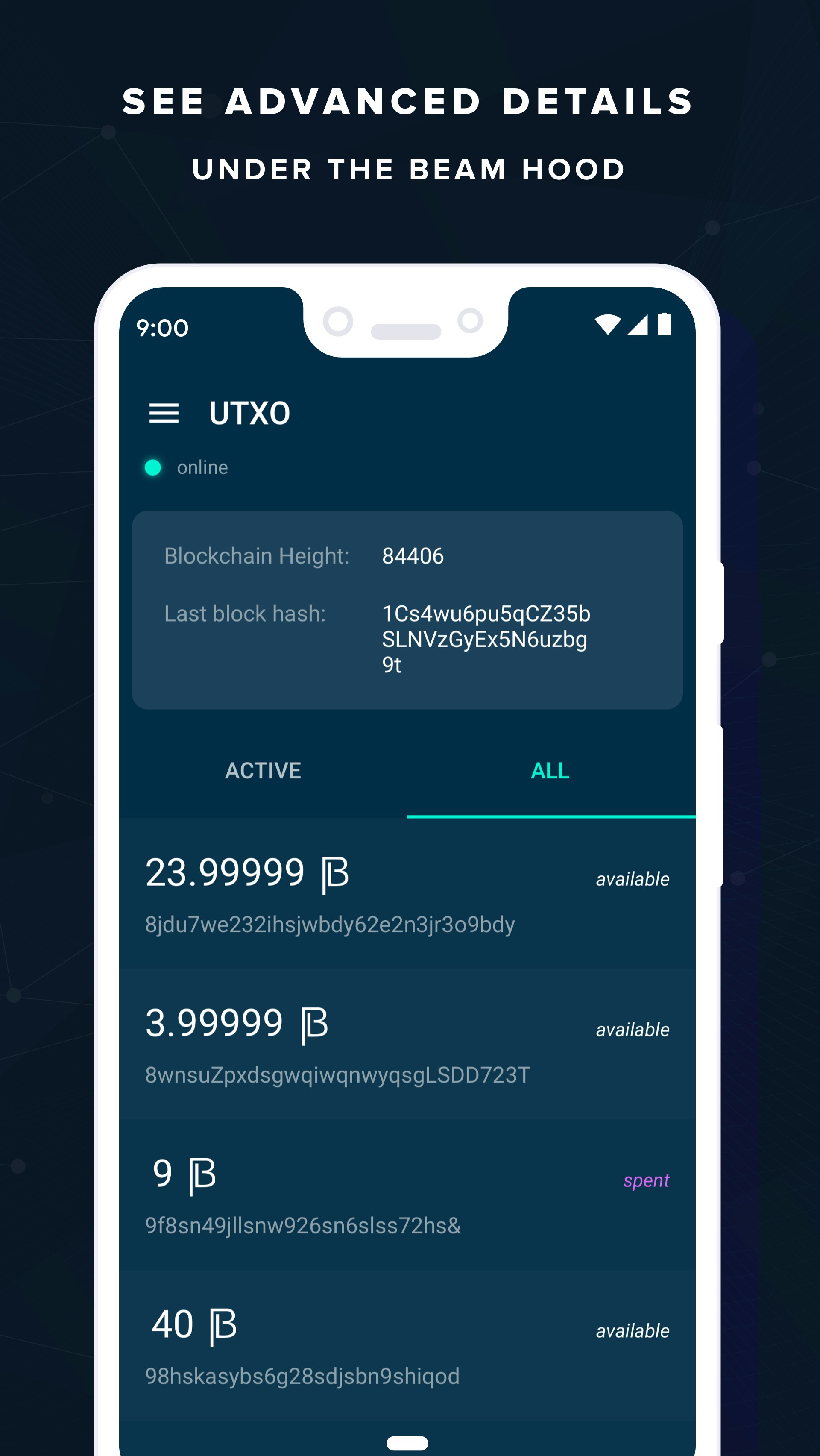 Beam Privacy iOS Wallet gallery image