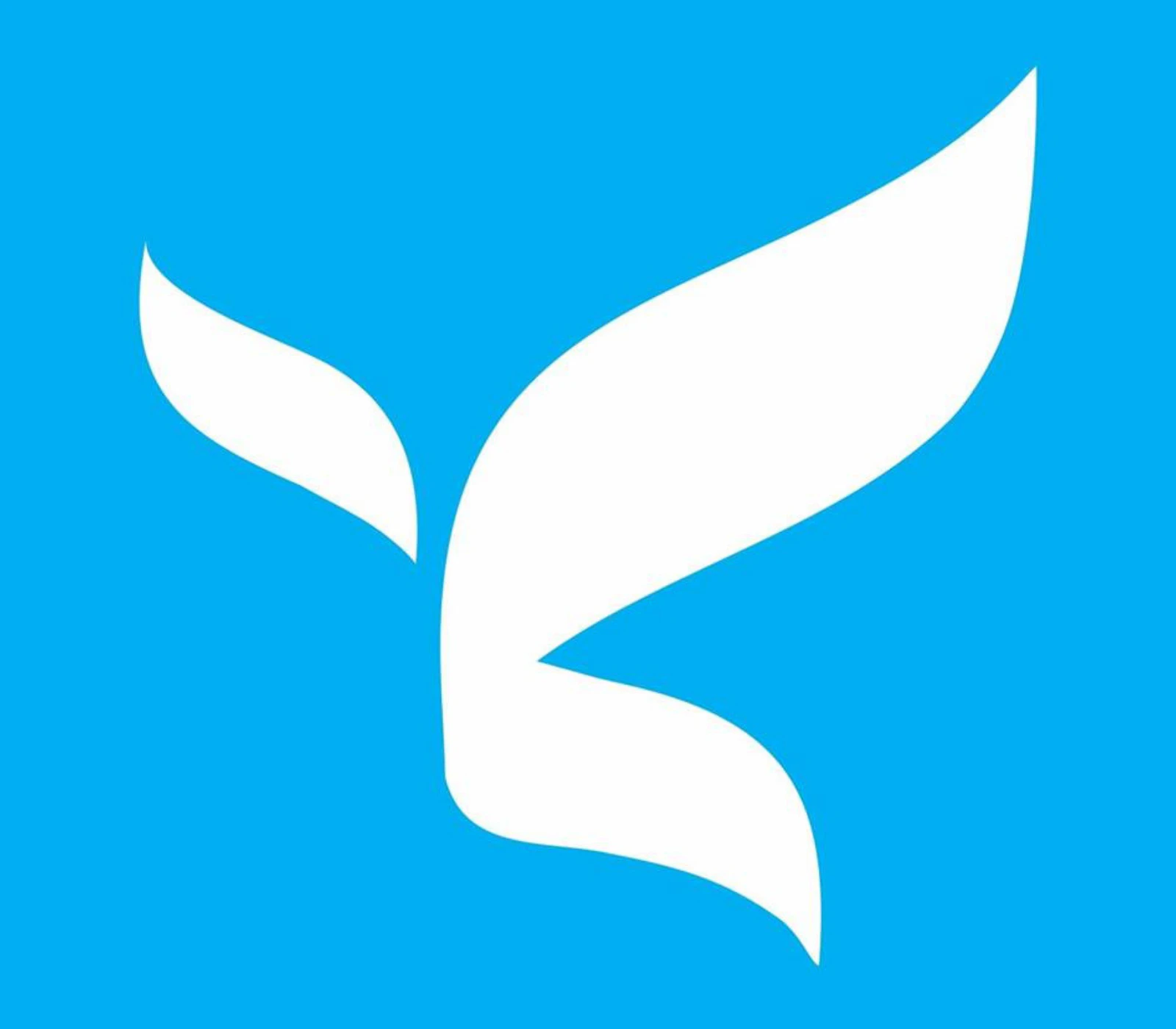 Sarvang Infotech India Ltd cover