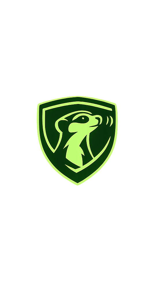 MeerSync – Know when integrations break media 1