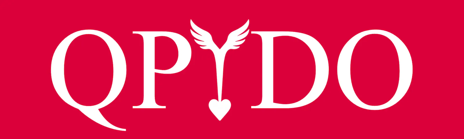 QPIDO screenshot 1