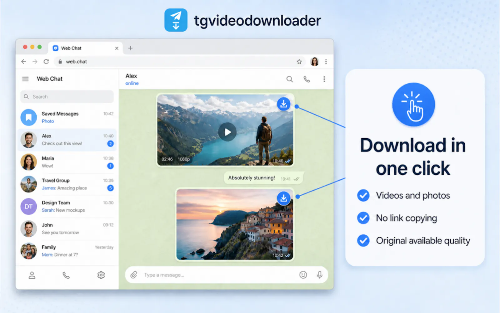 TGDown screenshot 2
