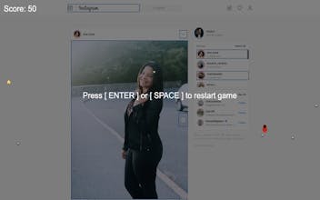 Webman gallery image